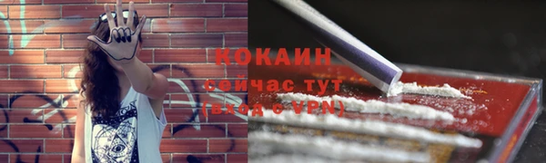 дживик Ступино