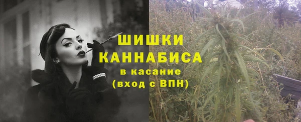 гидропоника Белокуриха